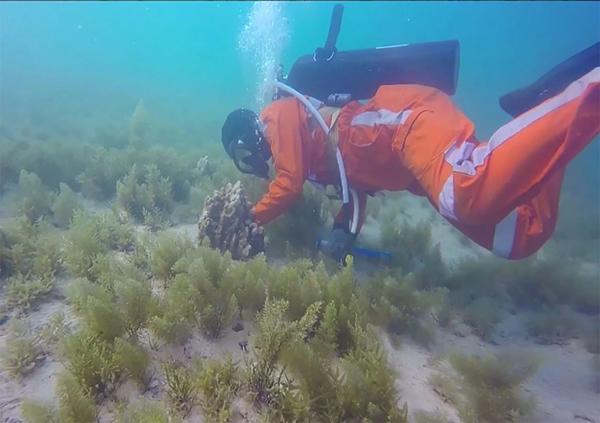 首页- 尊龙集团中国官方网站